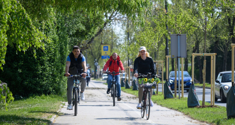 Na Čufarjevi ulici v Mariboru zasajen nov drevored